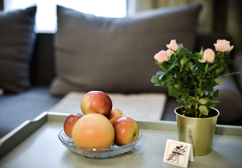 Studio apartamentai